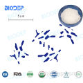 100b CFU/G Probiotics B. Bifidum